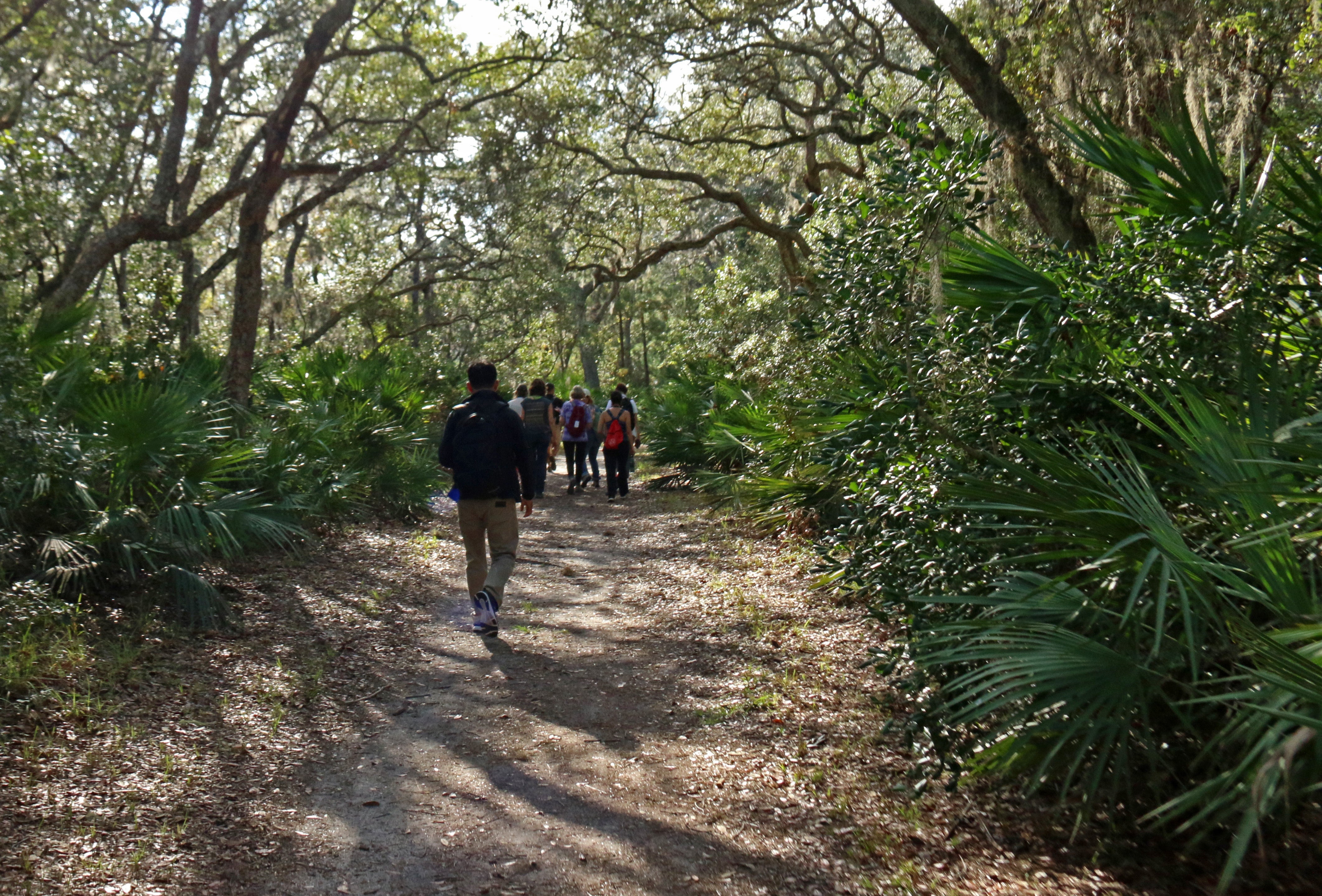 People walking on a wooded path